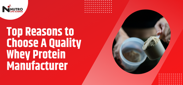 Top Reasons to Choose a Quality Whey Protein Manufacturer