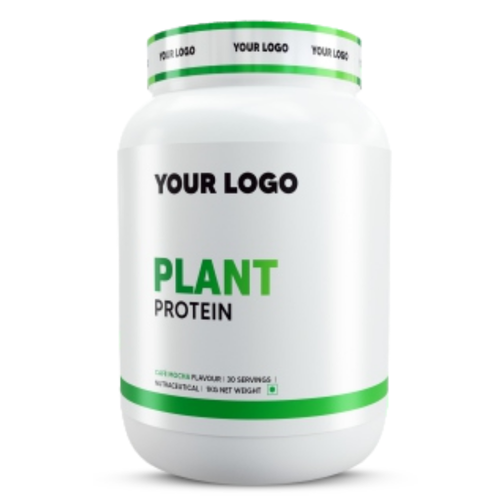 Plant Protein